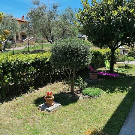 Goccia in Valdorcia Smart Home San Quirico dʼOrcia Exterior foto