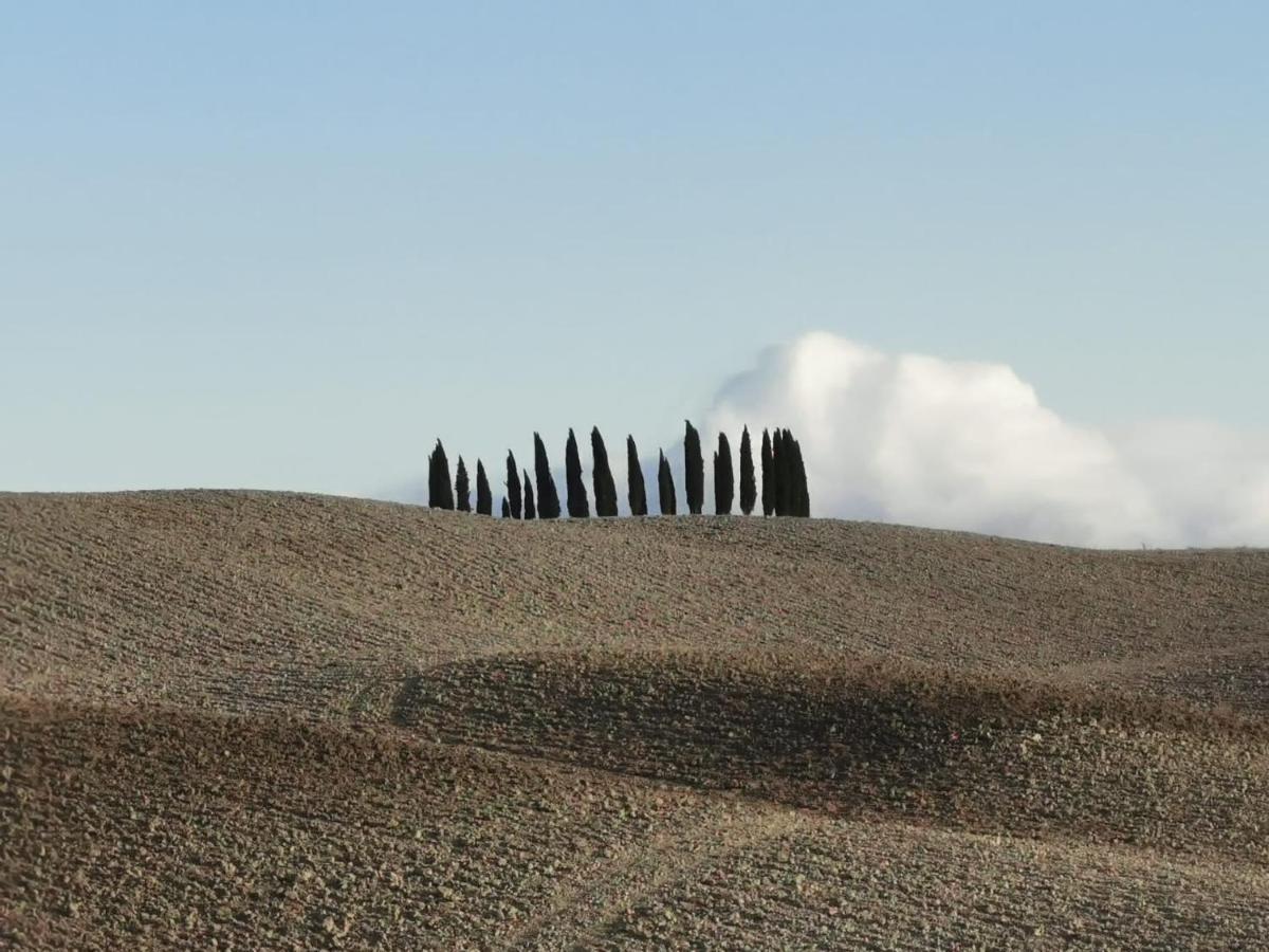 Goccia in Valdorcia Smart Home San Quirico dʼOrcia Exterior foto