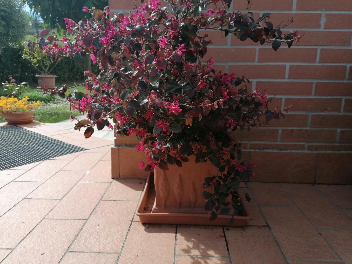 Goccia in Valdorcia Smart Home San Quirico dʼOrcia Exterior foto